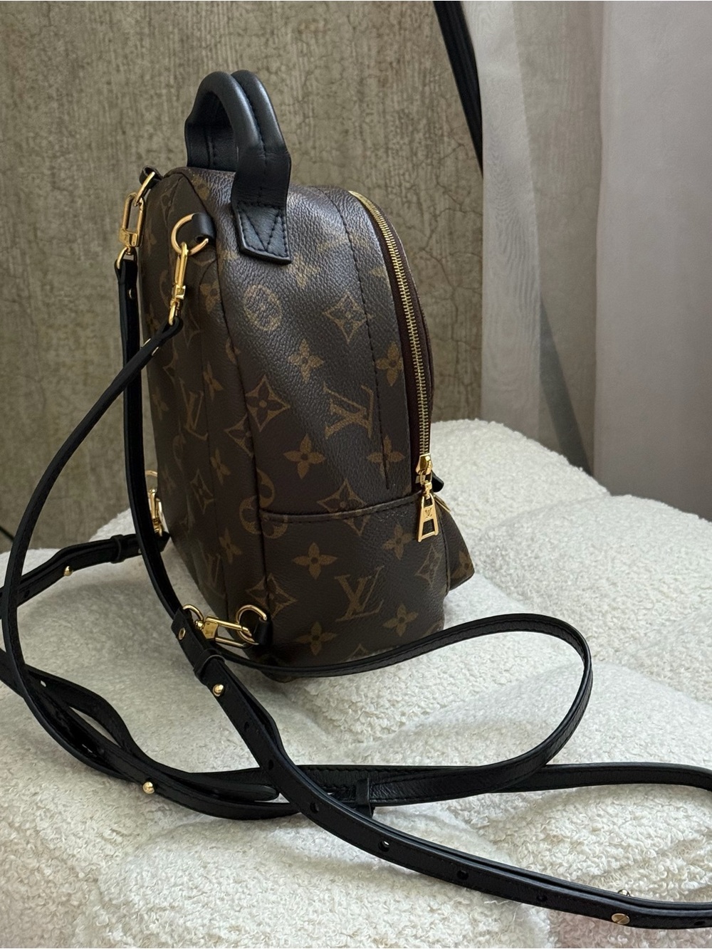 Louis Vuitton Palm Springs Mini Monogram Backpack - Picture 2 of 12
